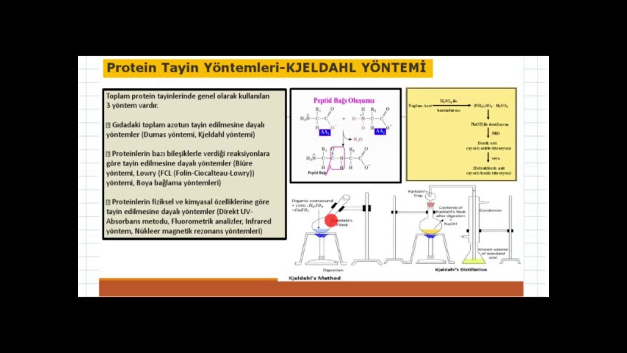 Protein Tayini