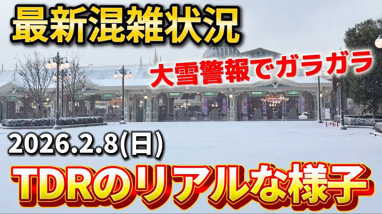 【現地速報】雪で人数減少⁉️ディズニーリゾート最新混雑状況【2026.2.8】