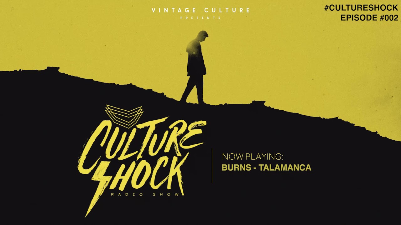 Vintage Culture - Culture Shock #002