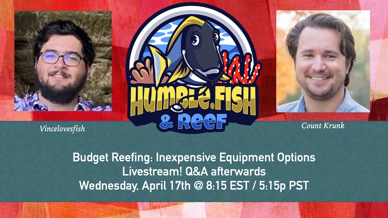 BUDGET REEFING: Inexpensive Equipment Options