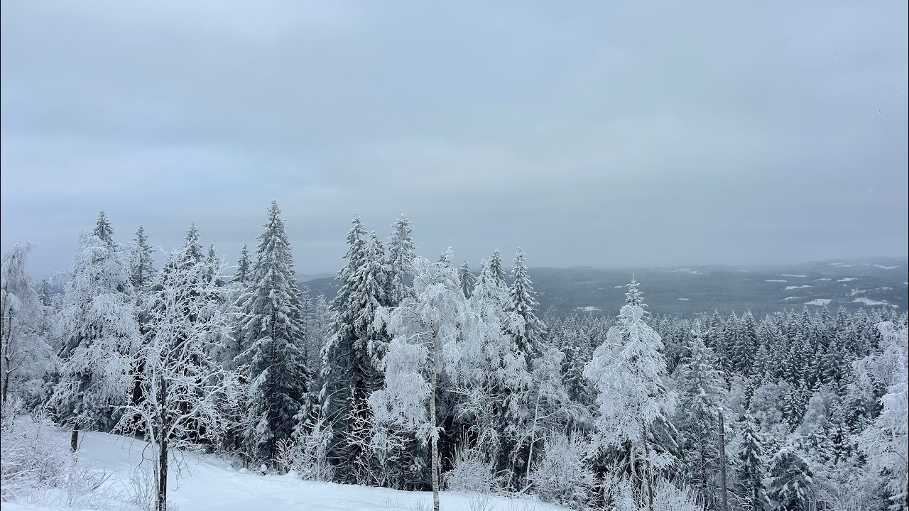 Muriendonos de frio pt.1 