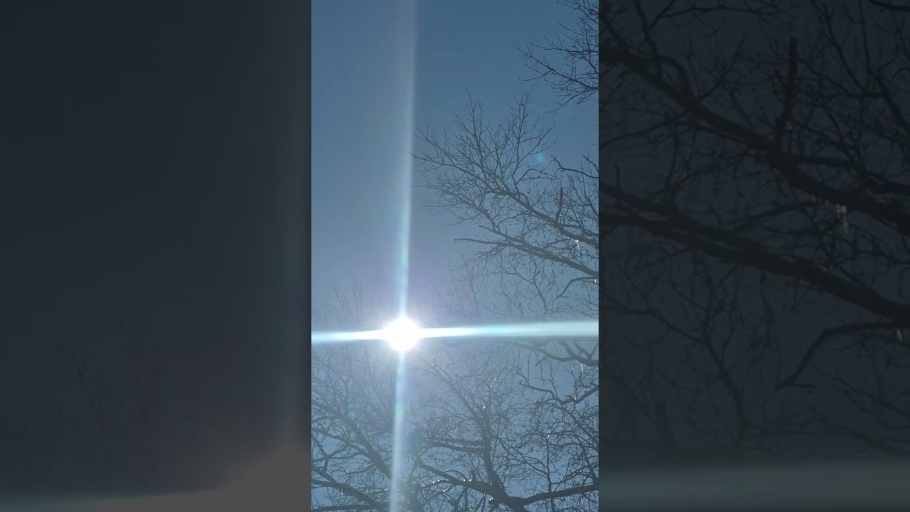 The sun shows the icicles on the trees, very pretty. 