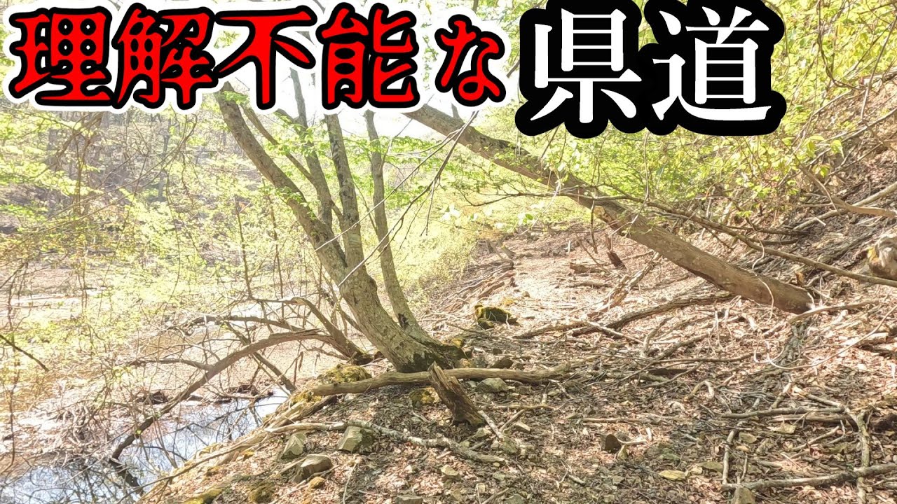 いや、さすがに意味わからんってこの県道… [兵庫県道258号 山田日高線]