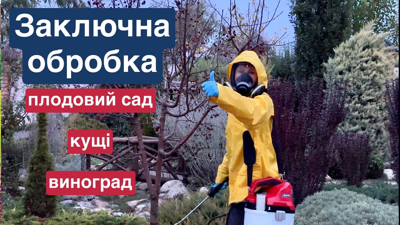 ЗАКЛЮЧНА ОБРОБКА САДУ від хвороб та шкідників. Консервуємо сад до весни!