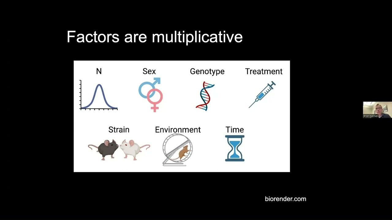 Mouse MRI for Study of Chemotherapy Impacts on Brain Development - Dr. Brian Nieman