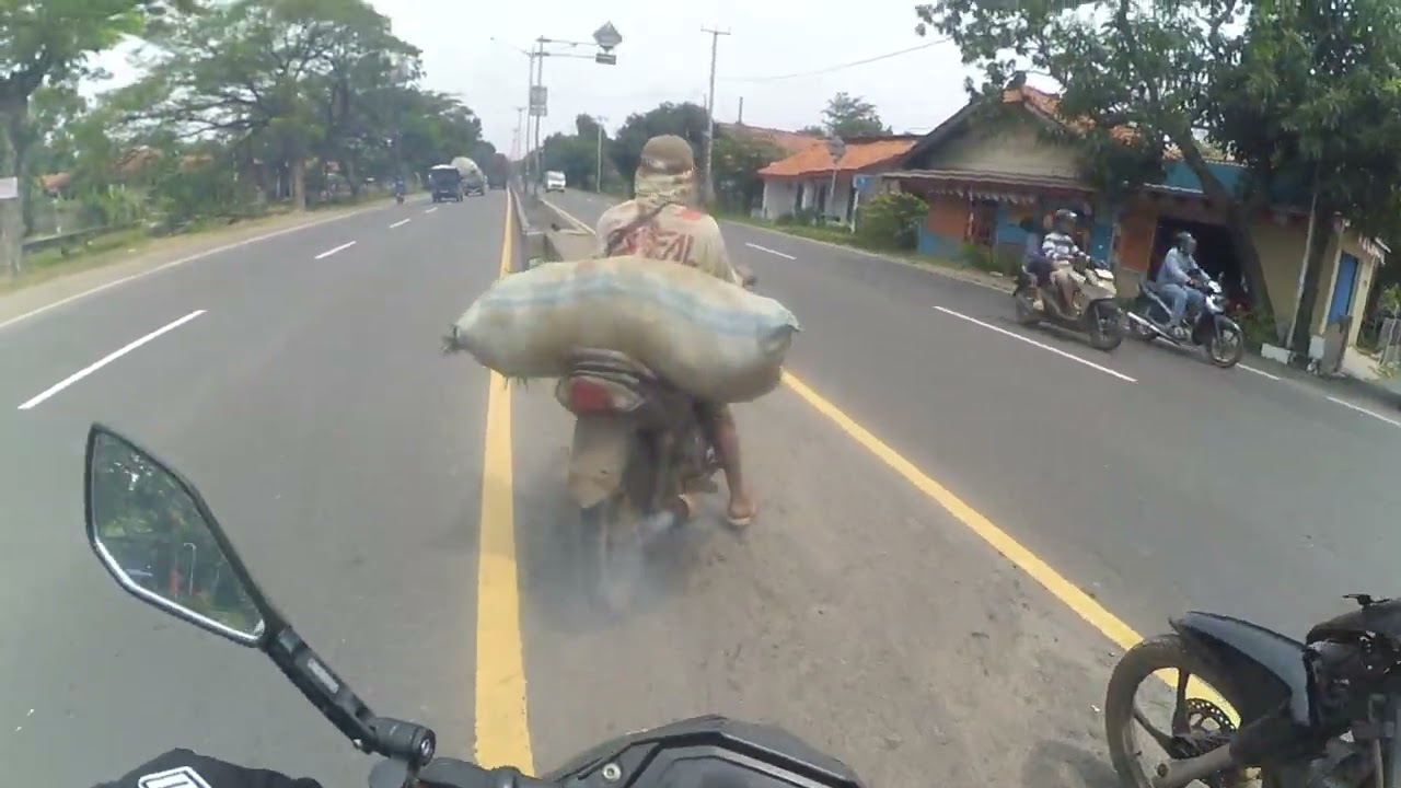 Ambil bibit ikan nila 