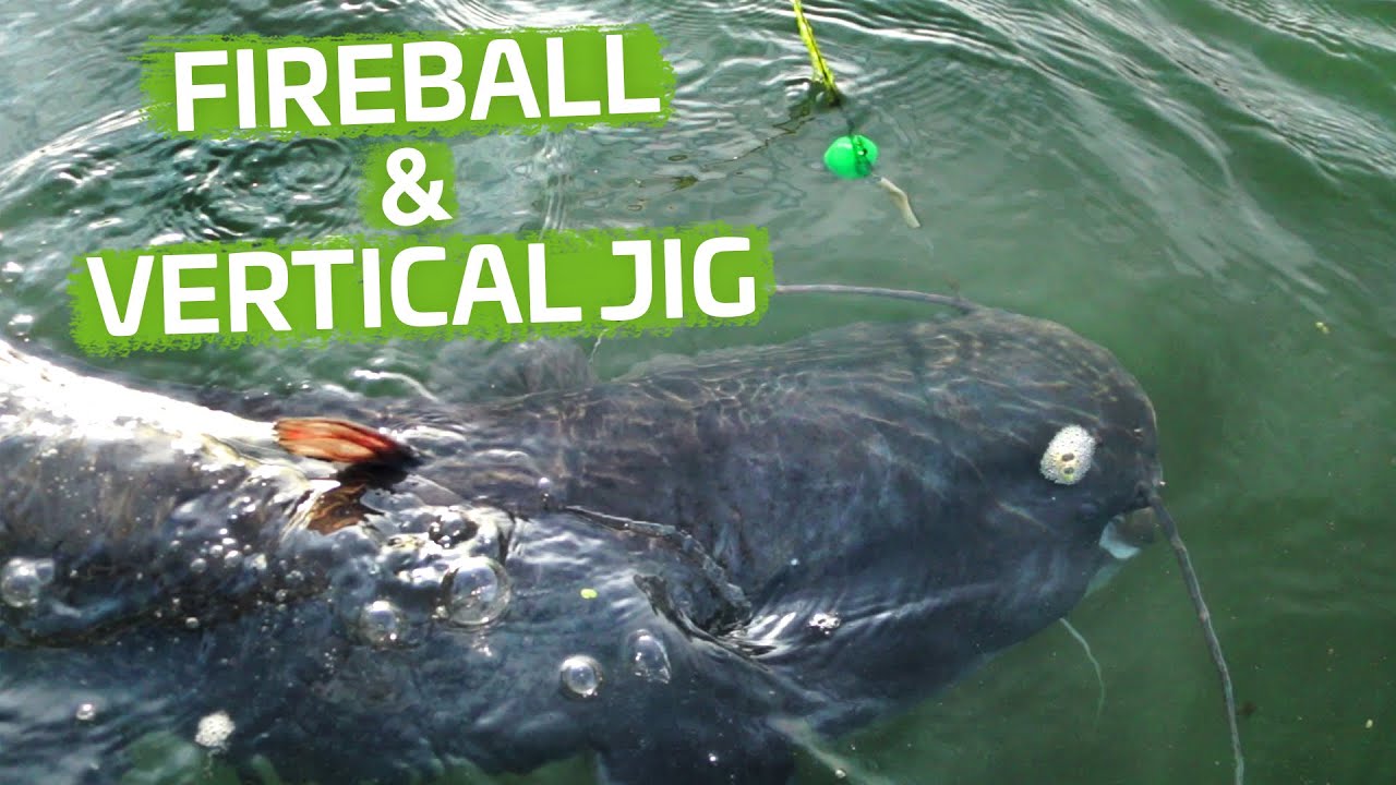 Vertikal auf Wels mit Fireball und Vertical Jig | Vertikalangeln am Fluss