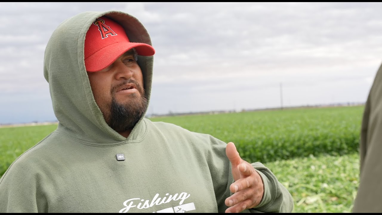 A day in the field with Yuma's migrant farm workers