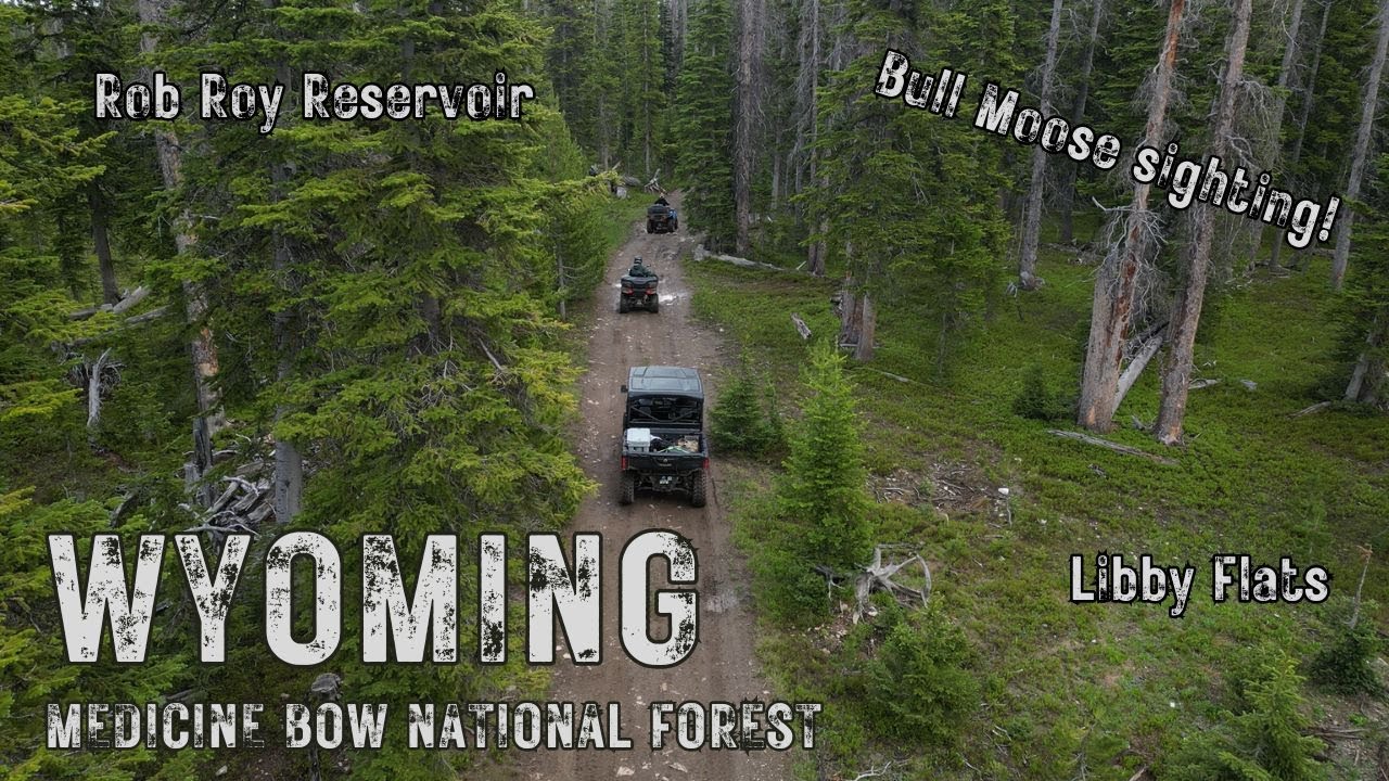Amazing Wyoming ATV Trails! Medicine Bow National Forest