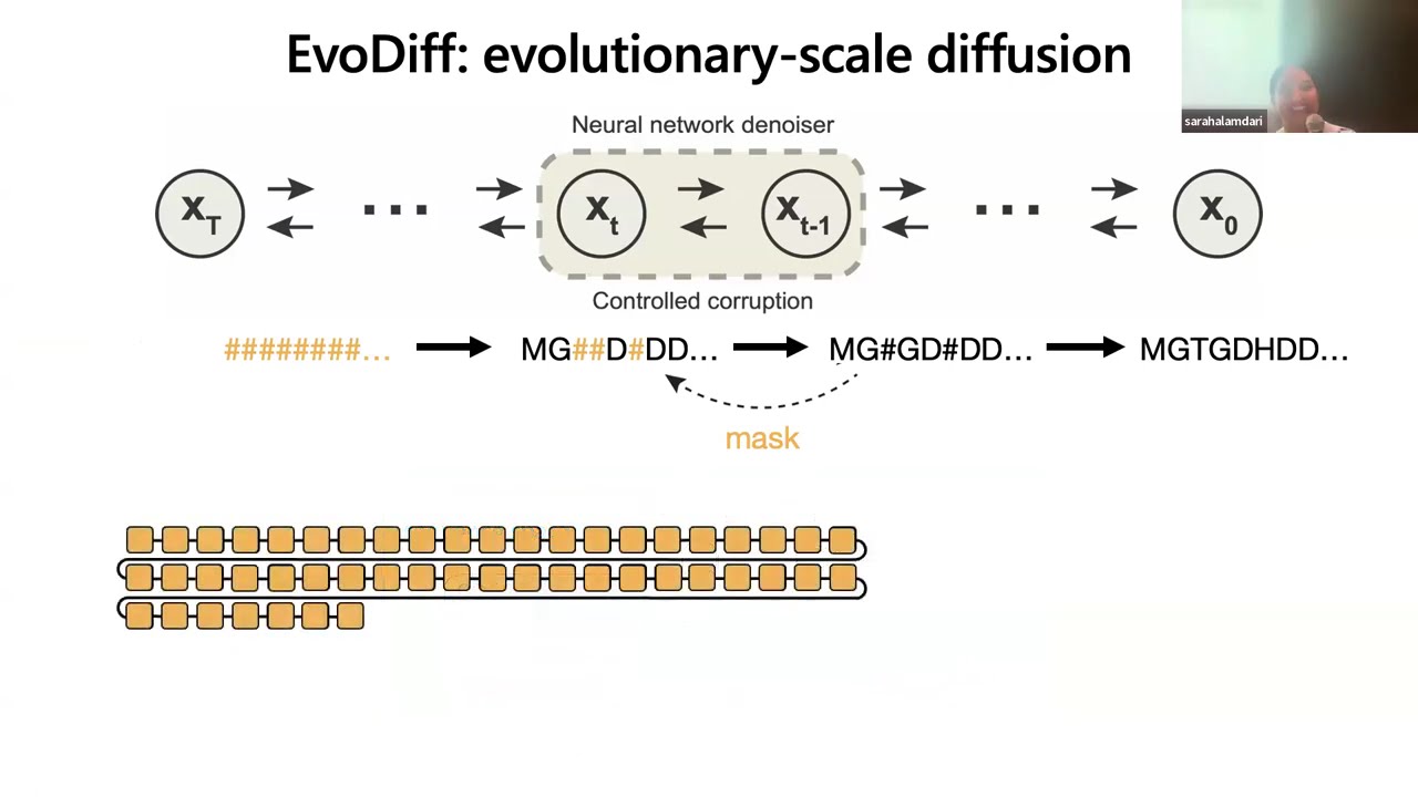 Discrete diffusion models for generative protein design