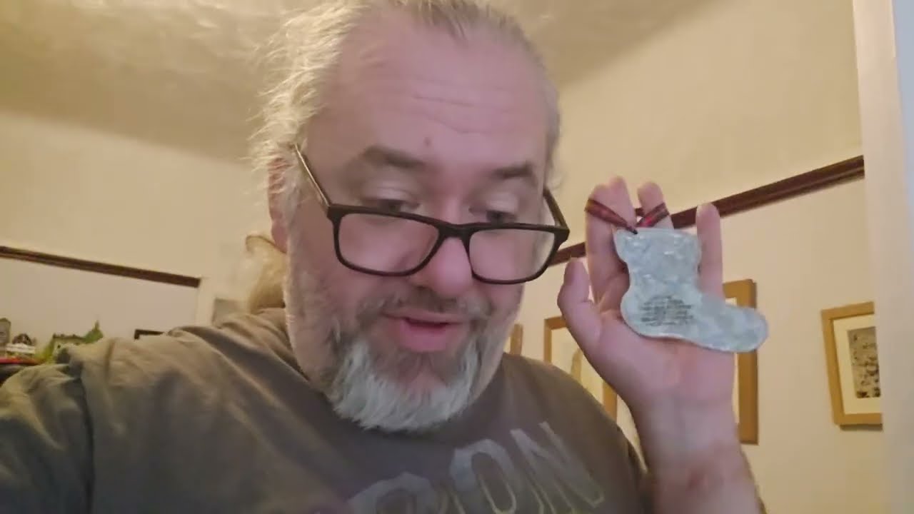 Putting the Tree up in a House Full of Cats - Yule Vlog 2
