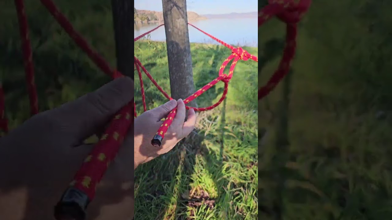 Paranco Doppio con Due Nodi a Farfalla: Forza Quadruplicata per 1000 Utilizzi #knot
