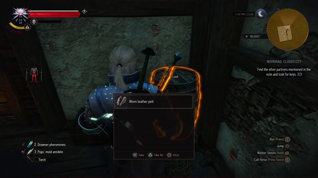 Witcher 3 wild hunt