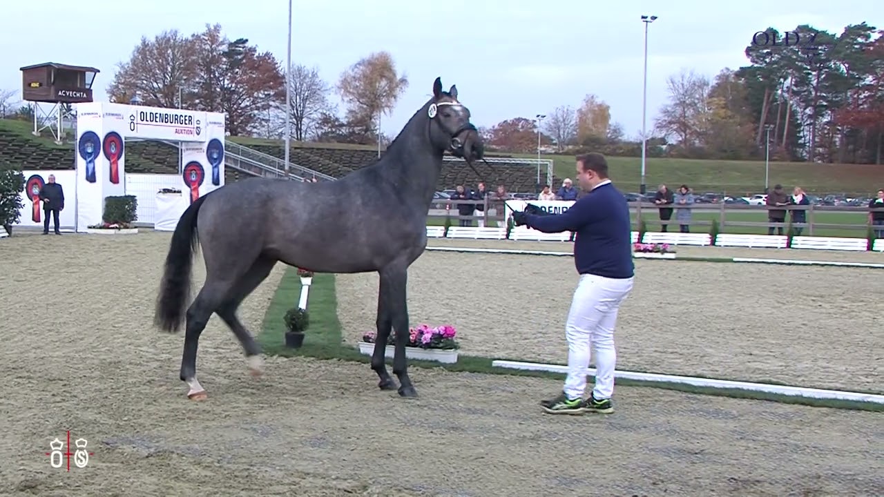 HM Cornet Obolensky   Argentinus