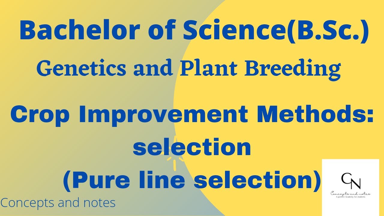 Pure line selection || Crop Improvement Methods || Procedure || Merits || Demerits || Concepts&Notes