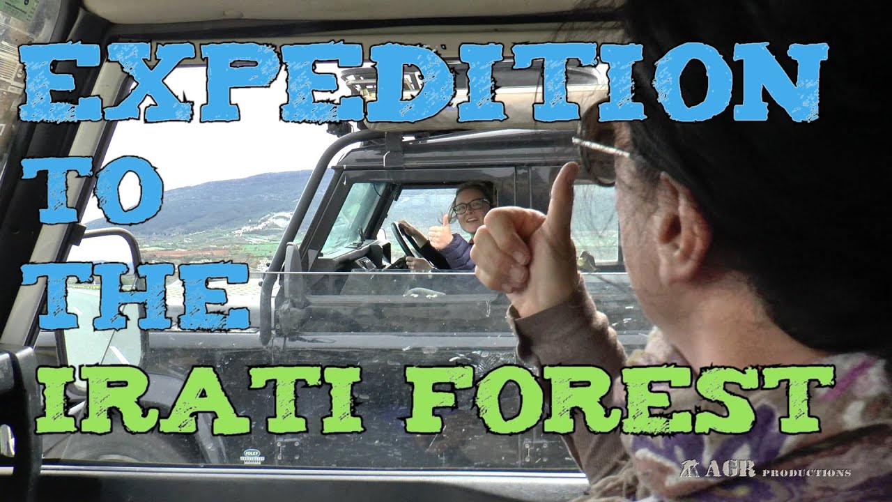 LAND ROVER DEFENDER 4X4 IRATI FOREST EXPEDITION -SPAIN-