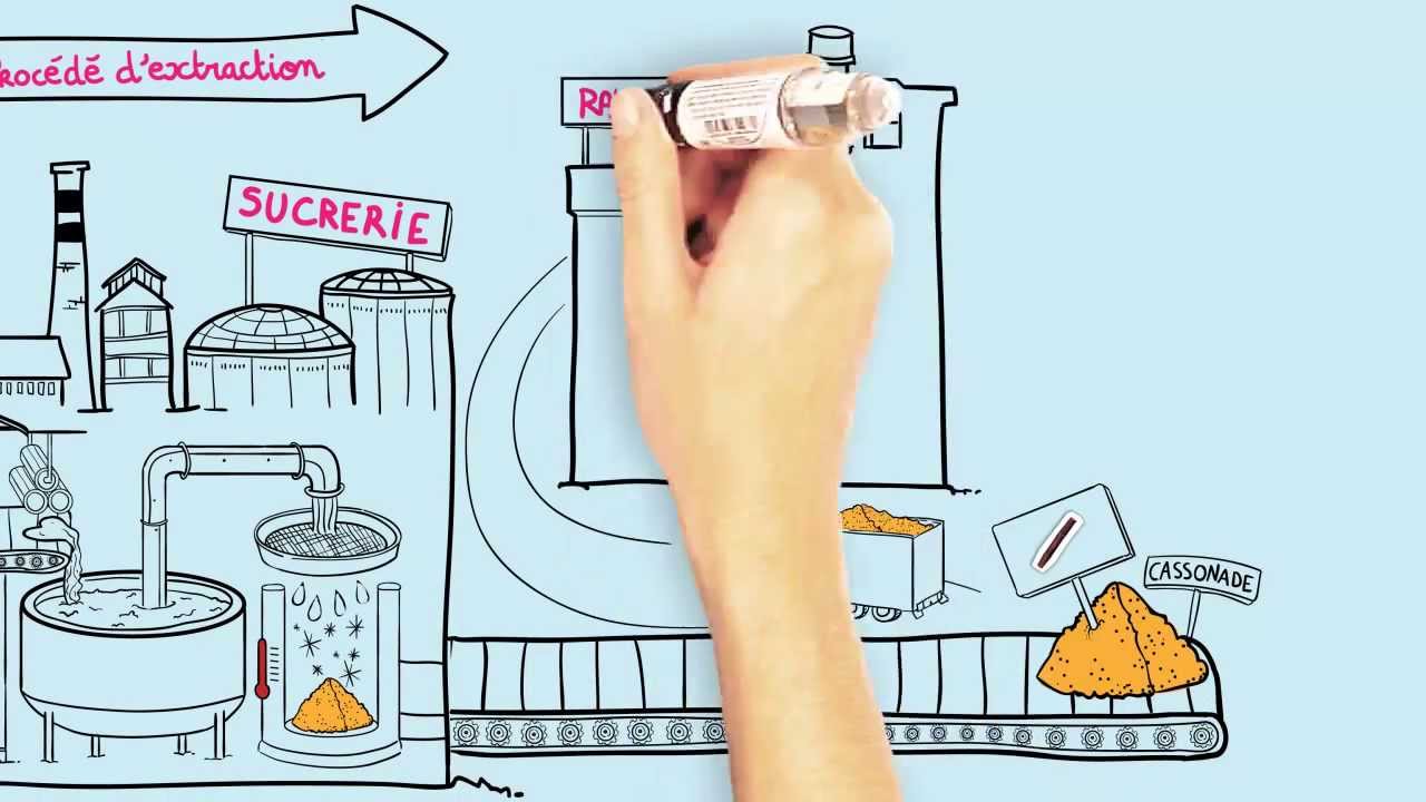 Le sucre blanc est-il raffiné ?