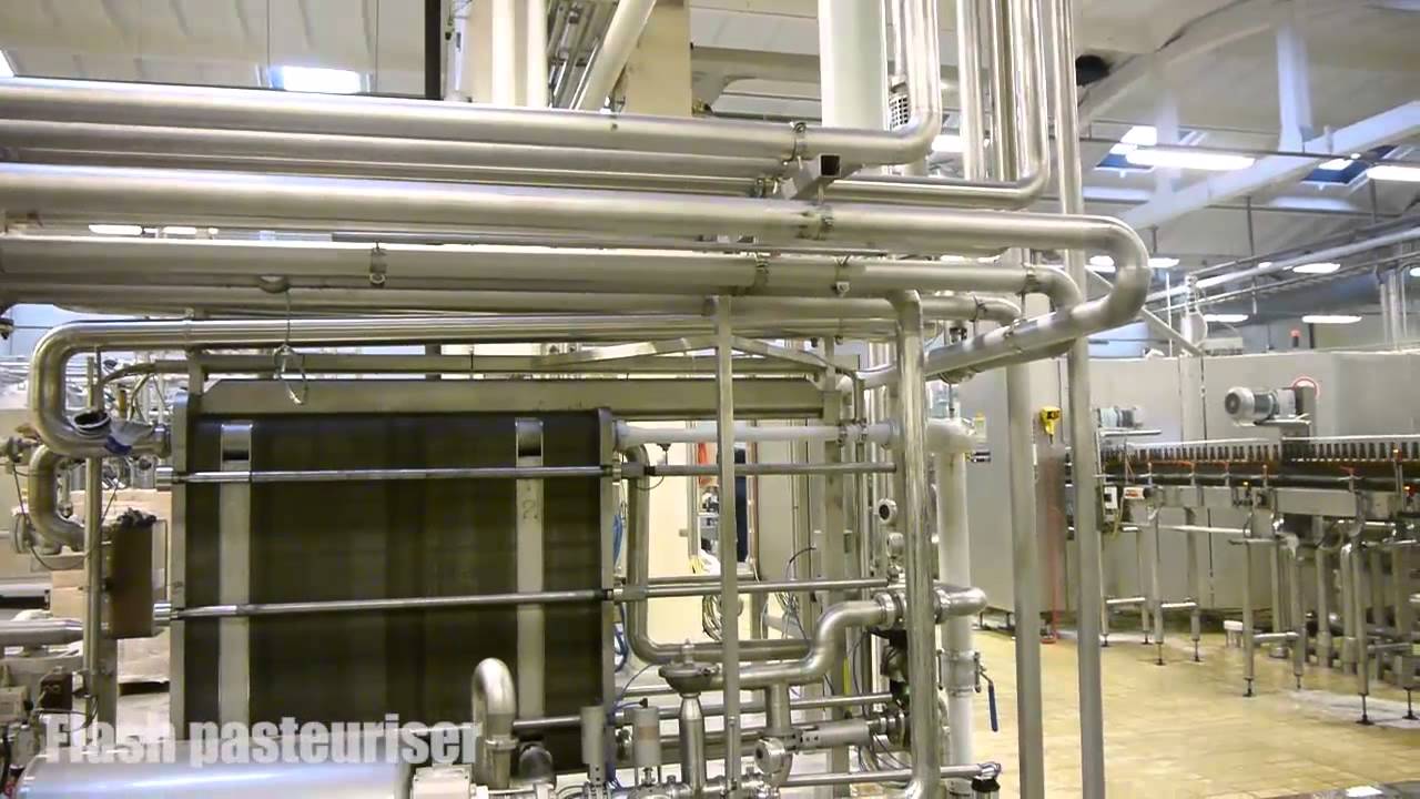 Flash pasteuriser