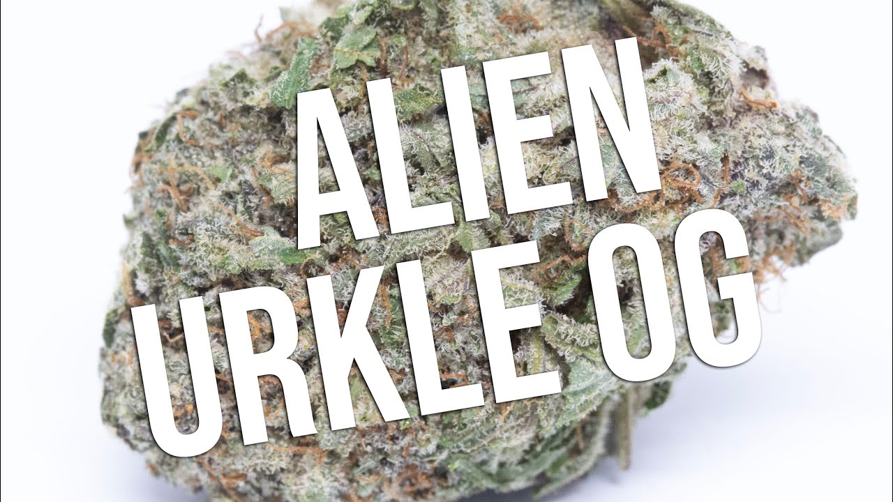 Alien Urkle OG cannabis strain review!