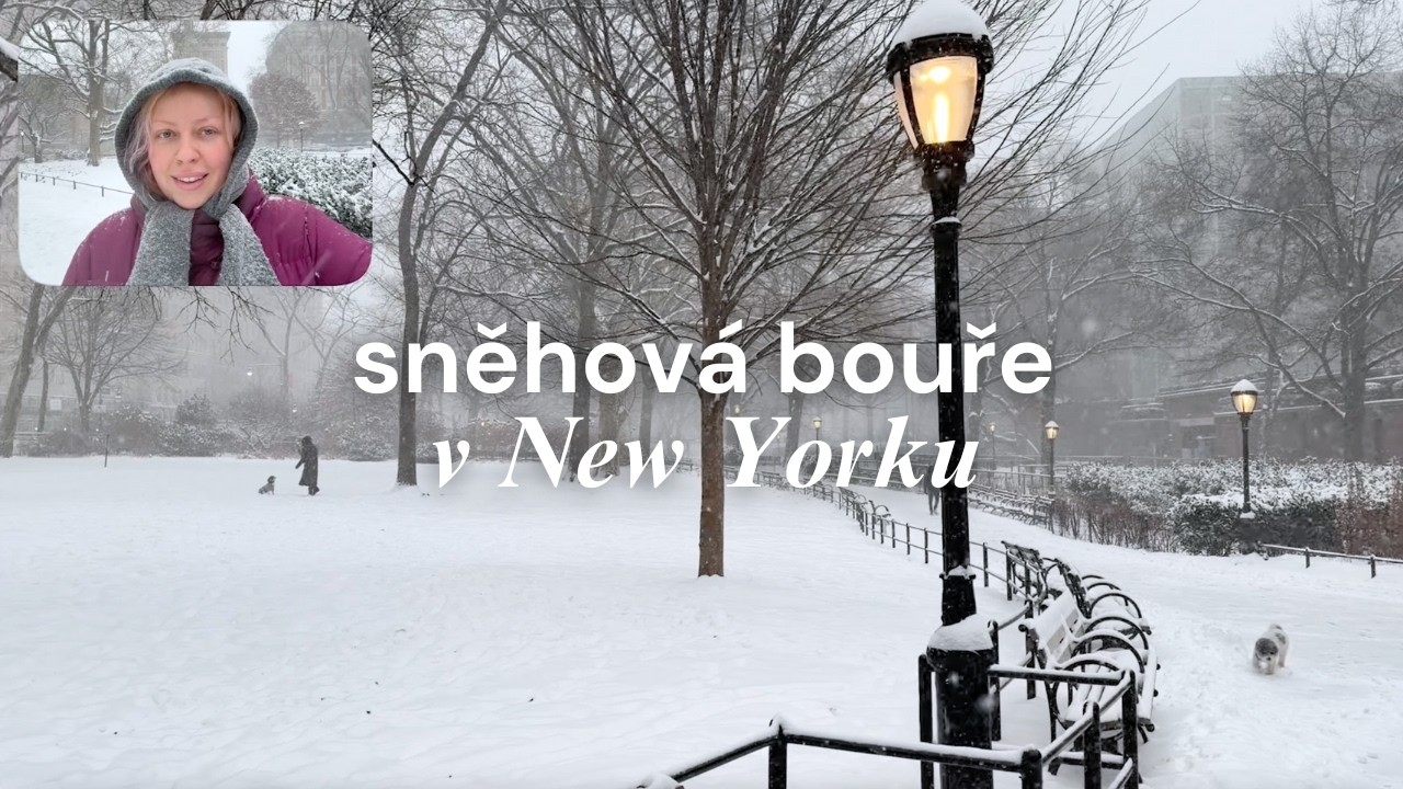 Sněhová bouře v New Yorku | NYC diaries