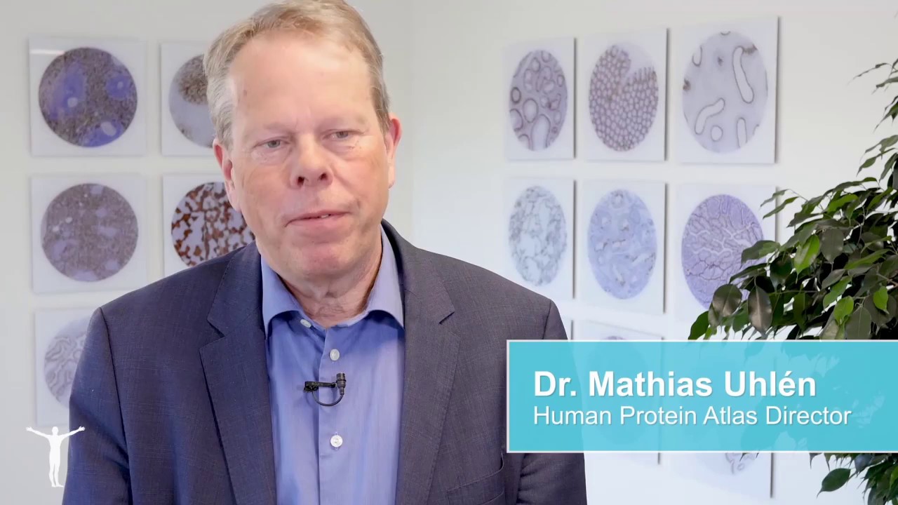 Human Protein Atlas Professor Mathias Uhl&eacute;n on Antibody Validation