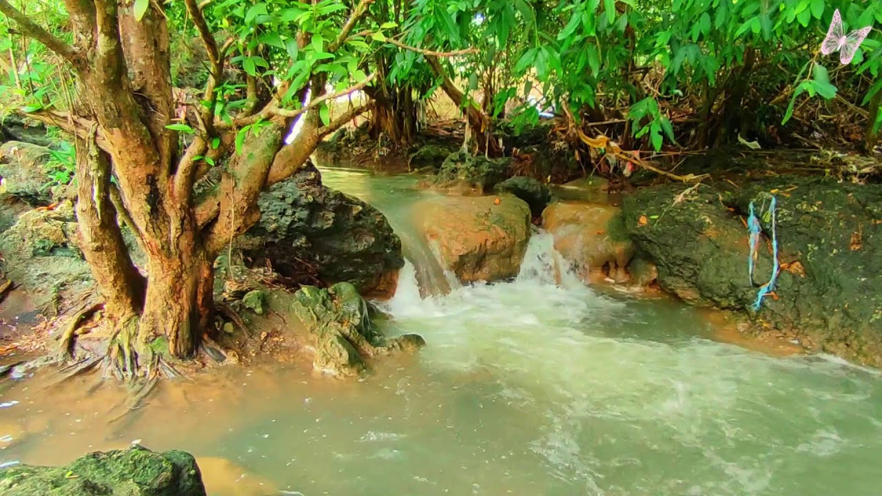 Relaxing Music For Stress Relief, Anxiety and Depressive States🌲Heal Mind, Body and Soul 52