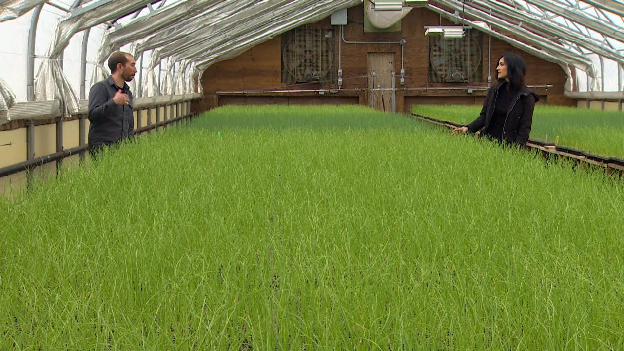 Land & Sea: Gaining an advantage in the farmers’ fields