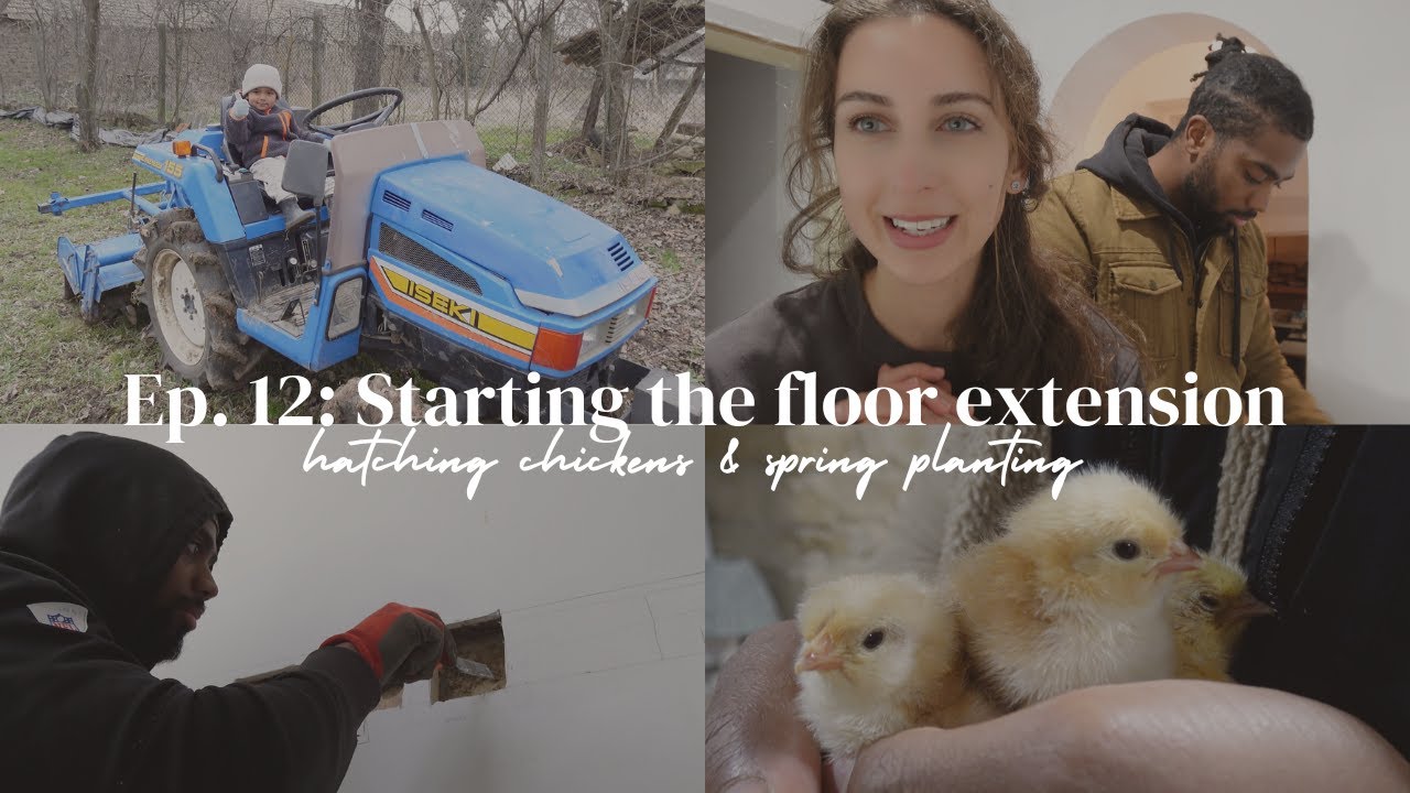 Ep. 12 Starting the floor extension | hatching chickens & spring planting | life in the countryside