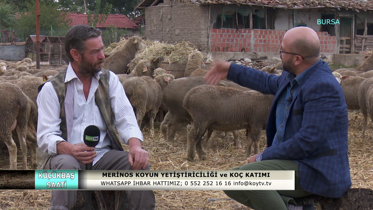 KÜÇÜKBAŞ SAATİ | BURSA-KARACABEY -  2.BÖLÜM