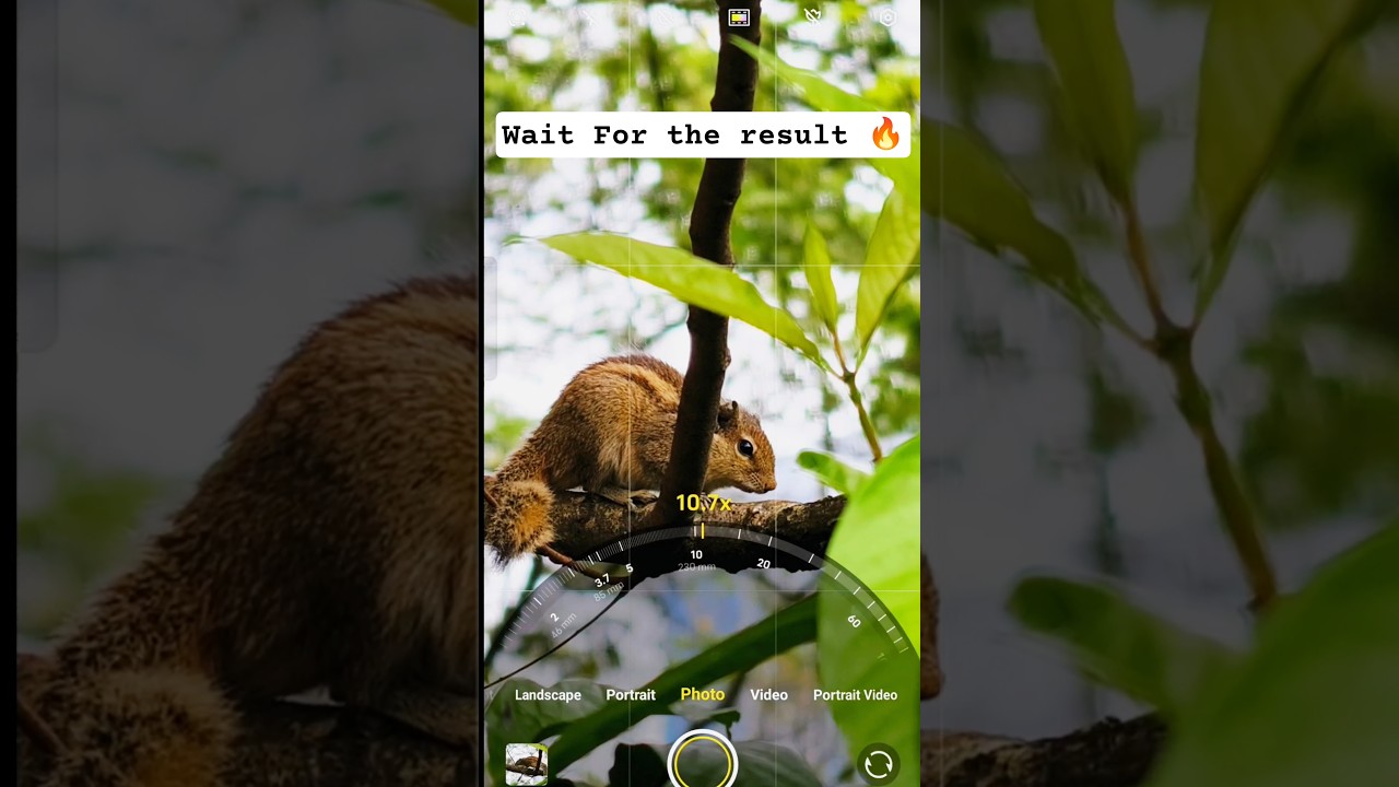 Vivo X300 Pro Photography Test Camera Testing Review Video Photo Samples #Vivox300pro