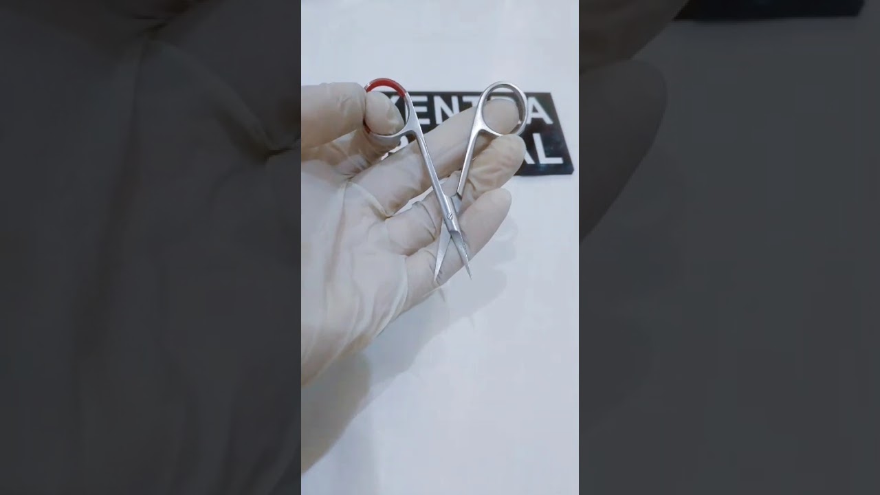 &ldquo;Luxentra Surgical Scissors | Premium Stainless Steel Instruments for Precision Cutting&rdquo;