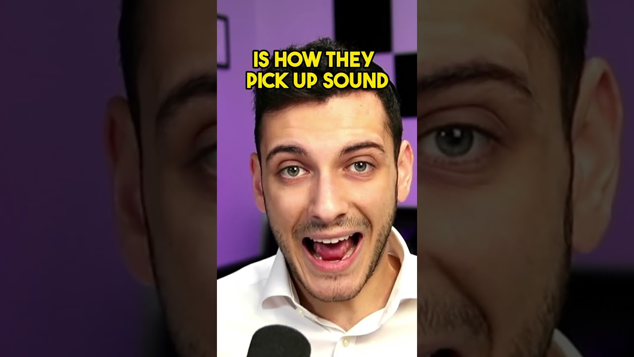 Dynamic Microphones and Condenser Microphones | Differences explained