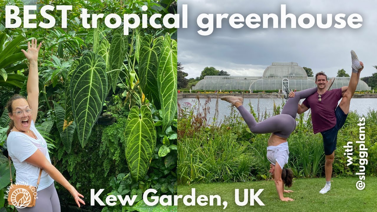 Plant tour Kew Gardens | Best tropical greenhouses in the UK?! | Plant with Roos