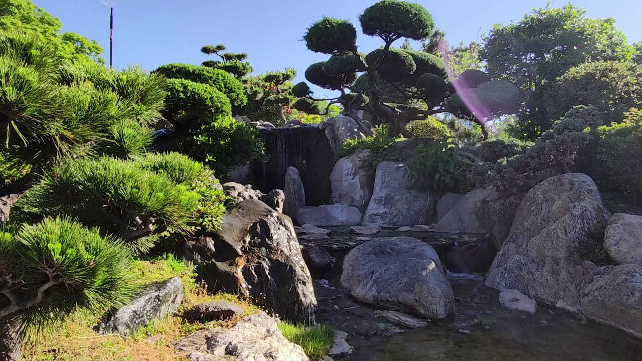 Historia del Jard&iacute;n Japon&eacute;s. Viajamos Juntos