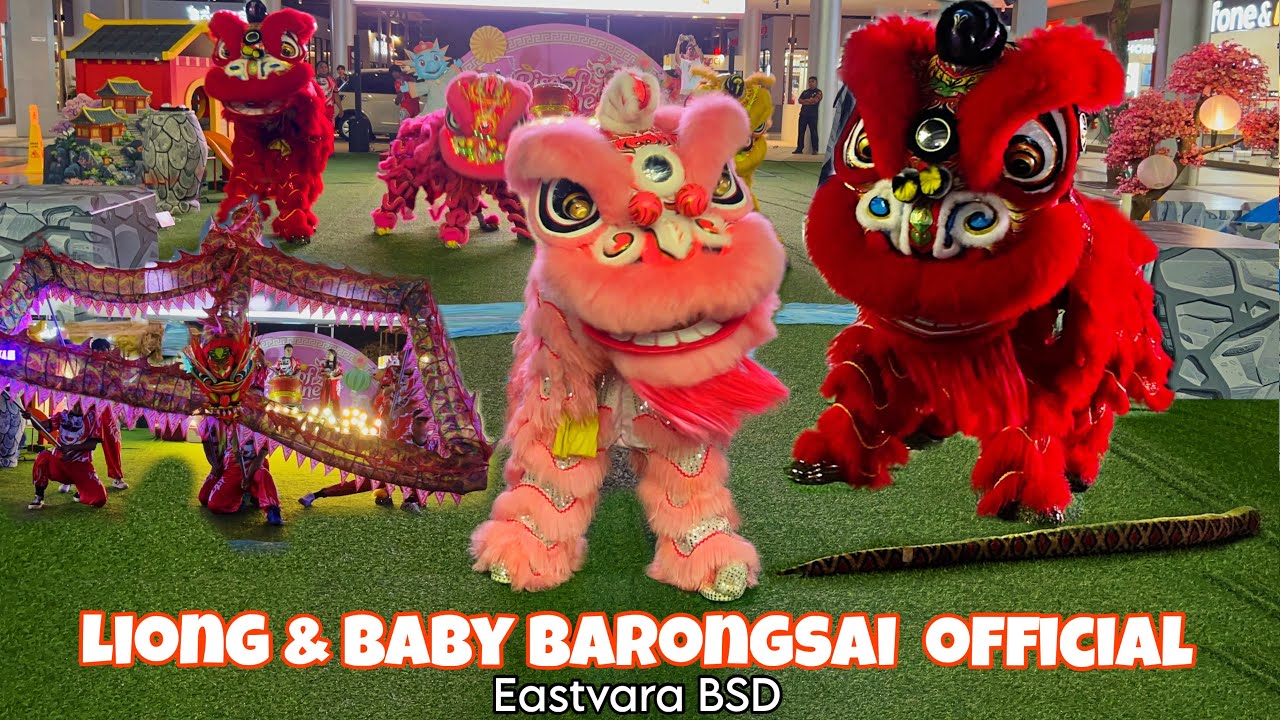 CNY 2026 | BABY BARONGSAI & LIONG DANCE ACROBATIC by BARONGSAIOFFICIAL EASTVARA BSD
