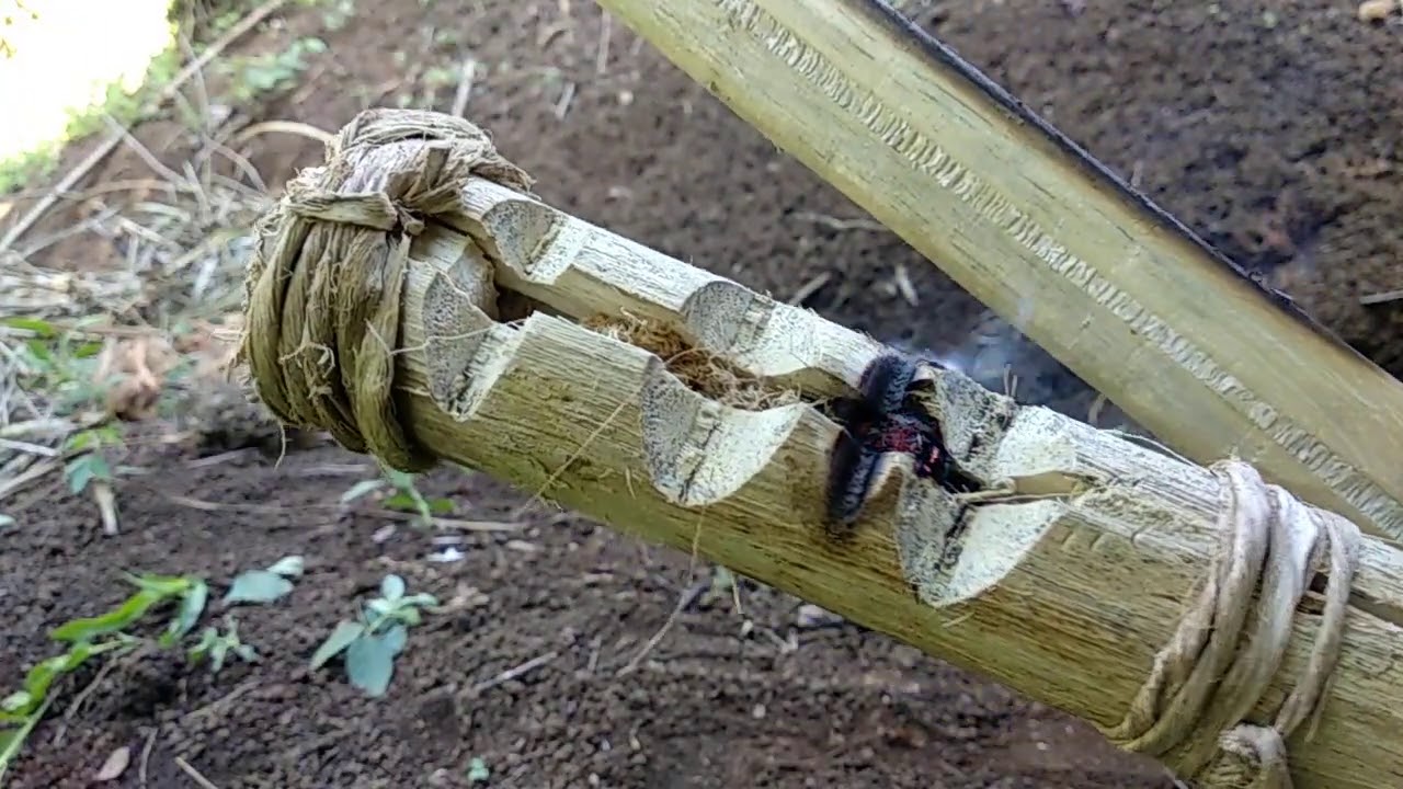 В дровяной огневой пиле используется полая пожарная доска.