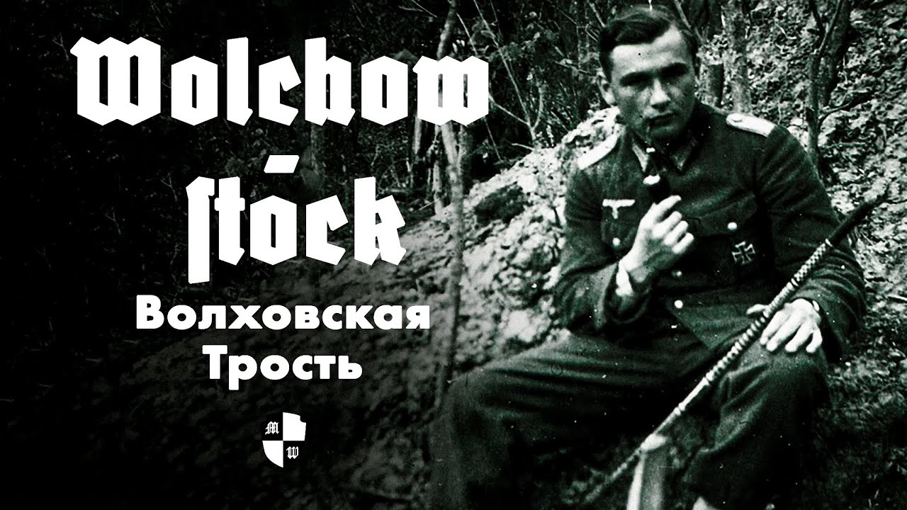 Волховская трость