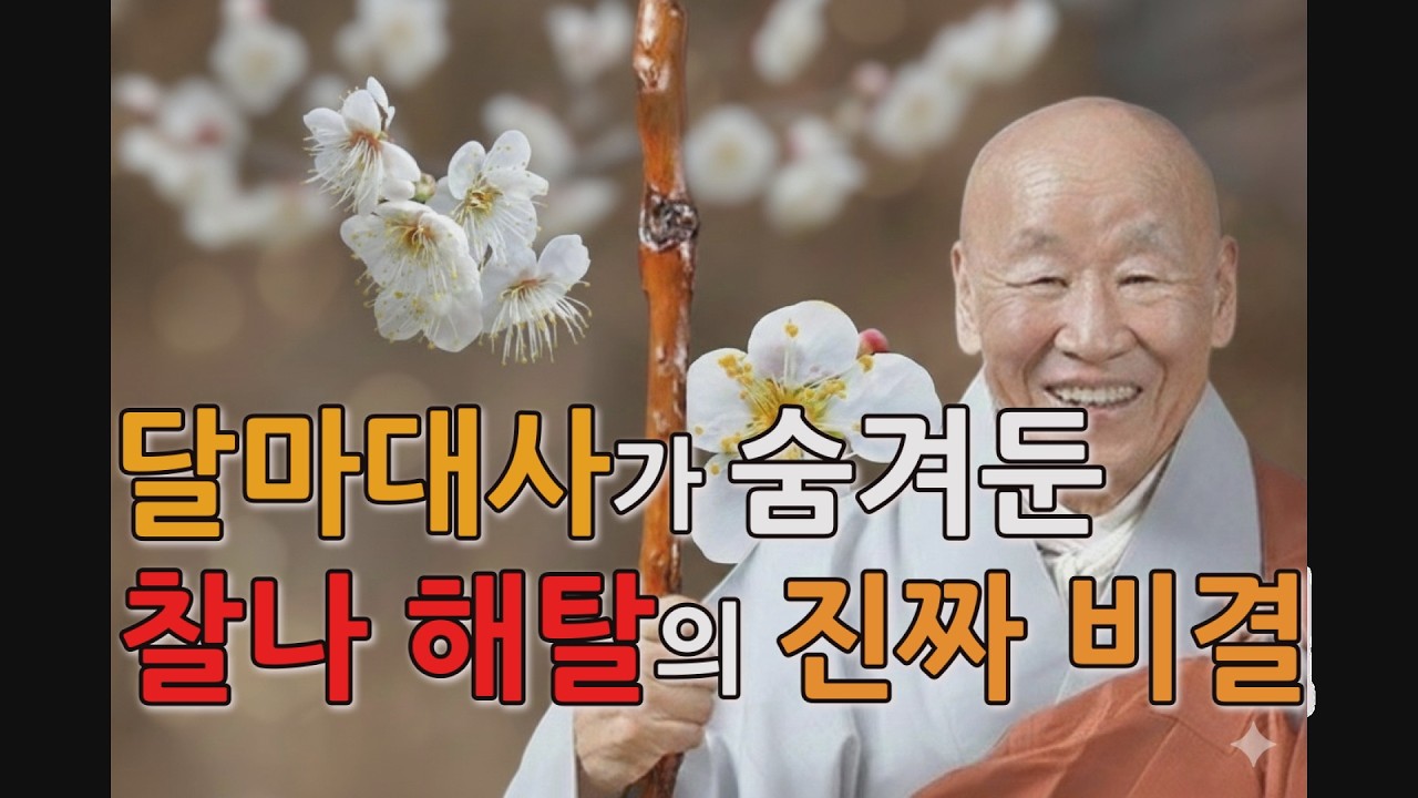 수억 겁의 윤회를 단숨에 끊어내는 달마대사의 비법 | 당신이 지옥에 떨어지는 진짜 이유 | 묘허큰스님의 달마대사관심론 (3회)