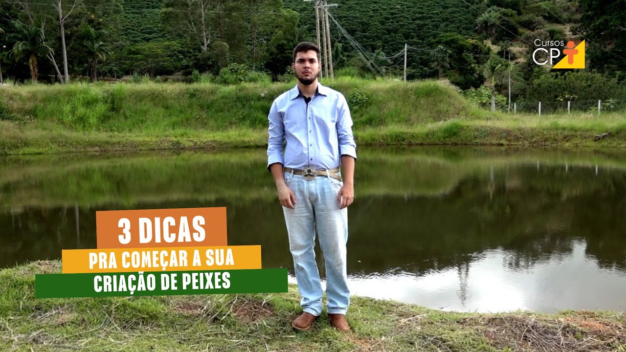 Como come&ccedil;ar a criar peixes? Veja 3 dicas pra implantar uma piscicultura!