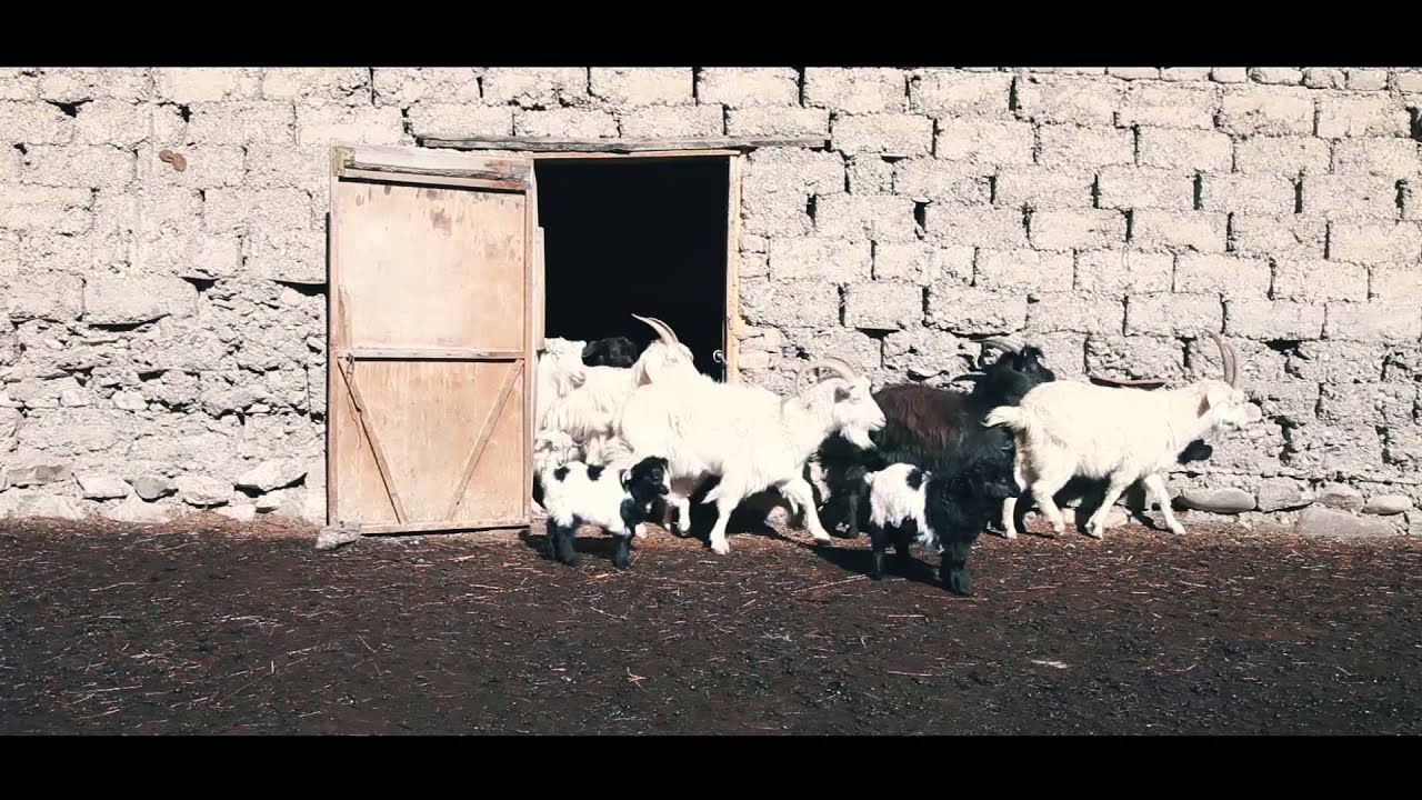 Dosoy Cinema - Фермеры Кыргызстана