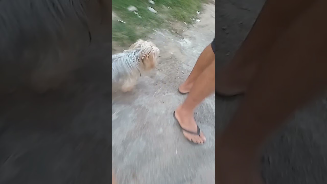 ROTINA CA&Oacute;TICA COM SNOOPY PARTI1