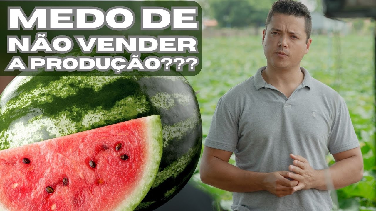 Erros para NUNCA cometer no plantio da Melancia e Abóbora