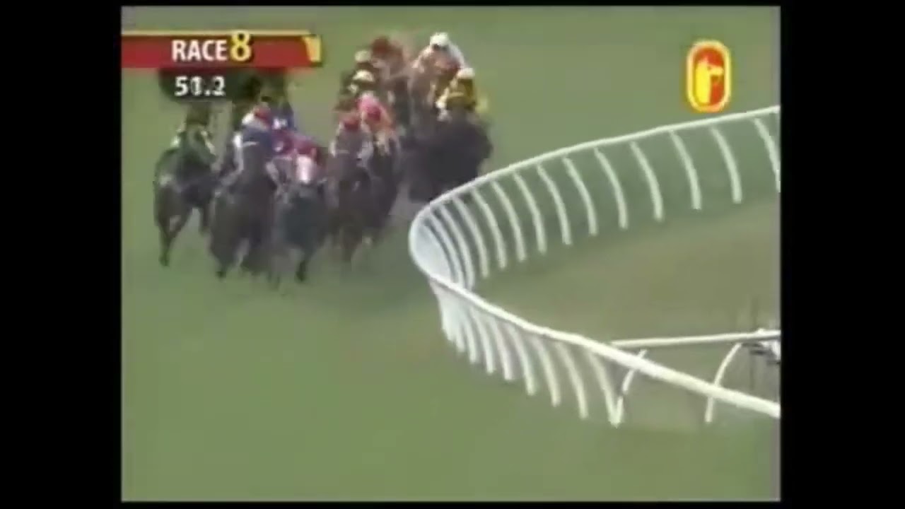 Astro Wah Lai Toi Vase 2010 (Class 1) [ Captain Obvious ]