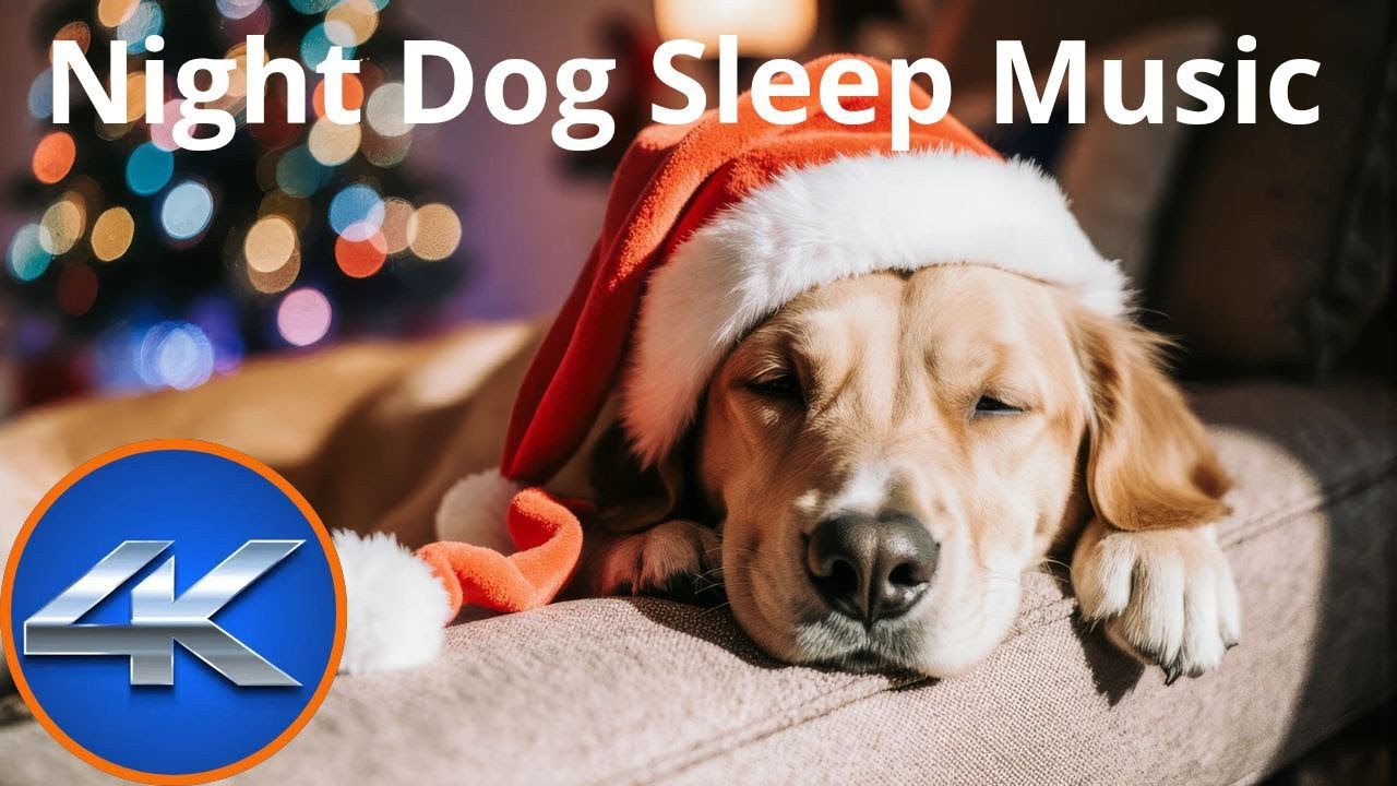 13 HOURS of Dog Calming Music Anti Separation Anxiety Relief Music Deep Sleep - Pet Music