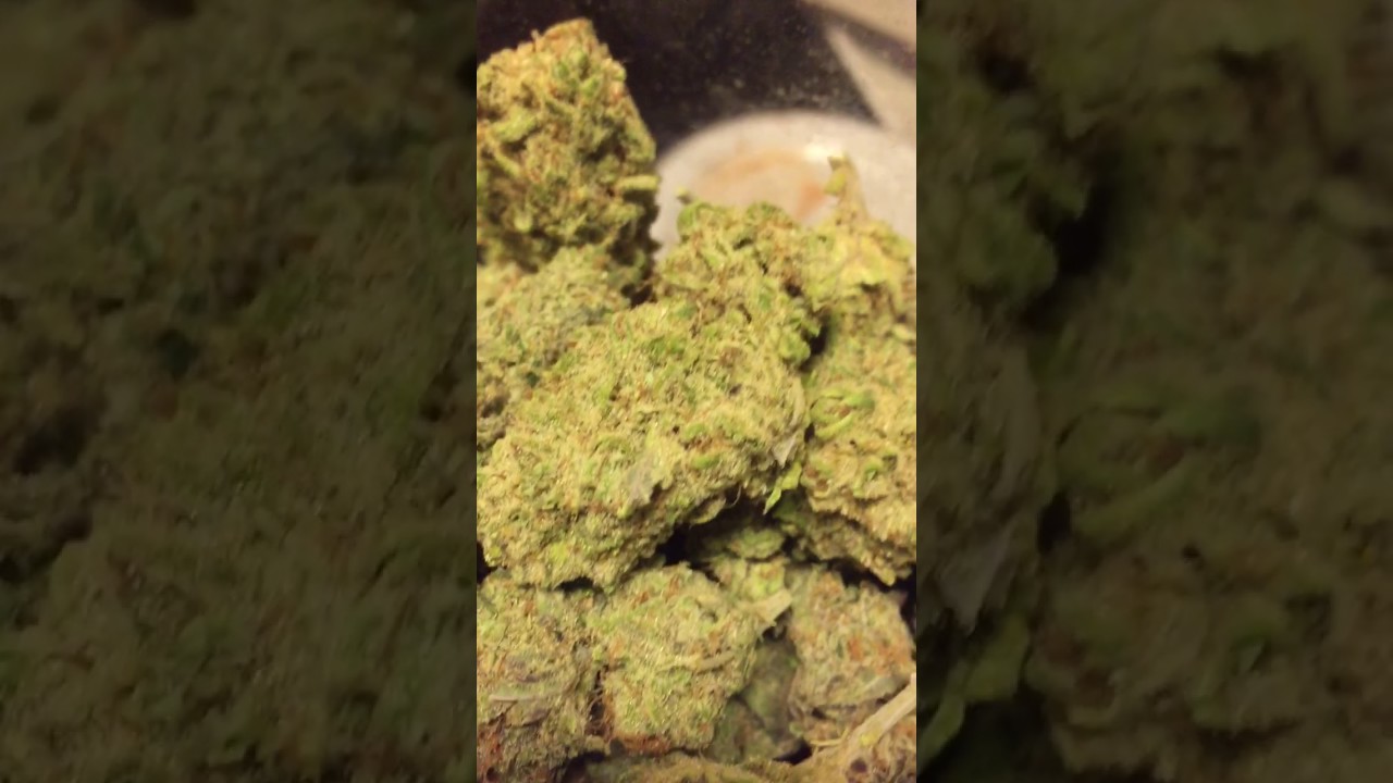 G13