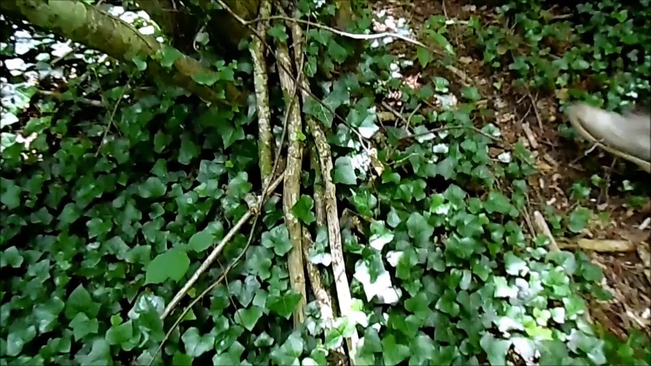 Exploring the woods, Roman lavoir and natural spring