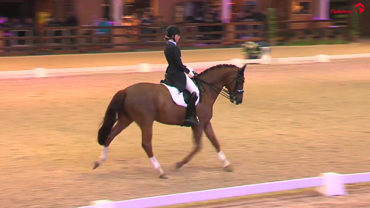 CDI4* Lier 2018 | Rebecca Horstmann | Kür Junge Reiter |