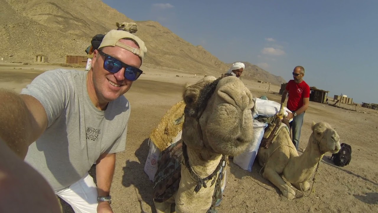 Diving Dahab via Camel Safari
