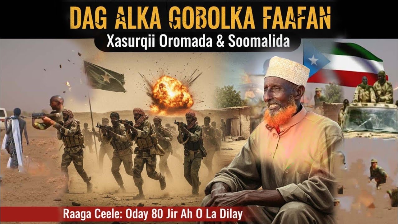 Qasaraha dagaalka Faafan oo kordhay iyo 80 jir..