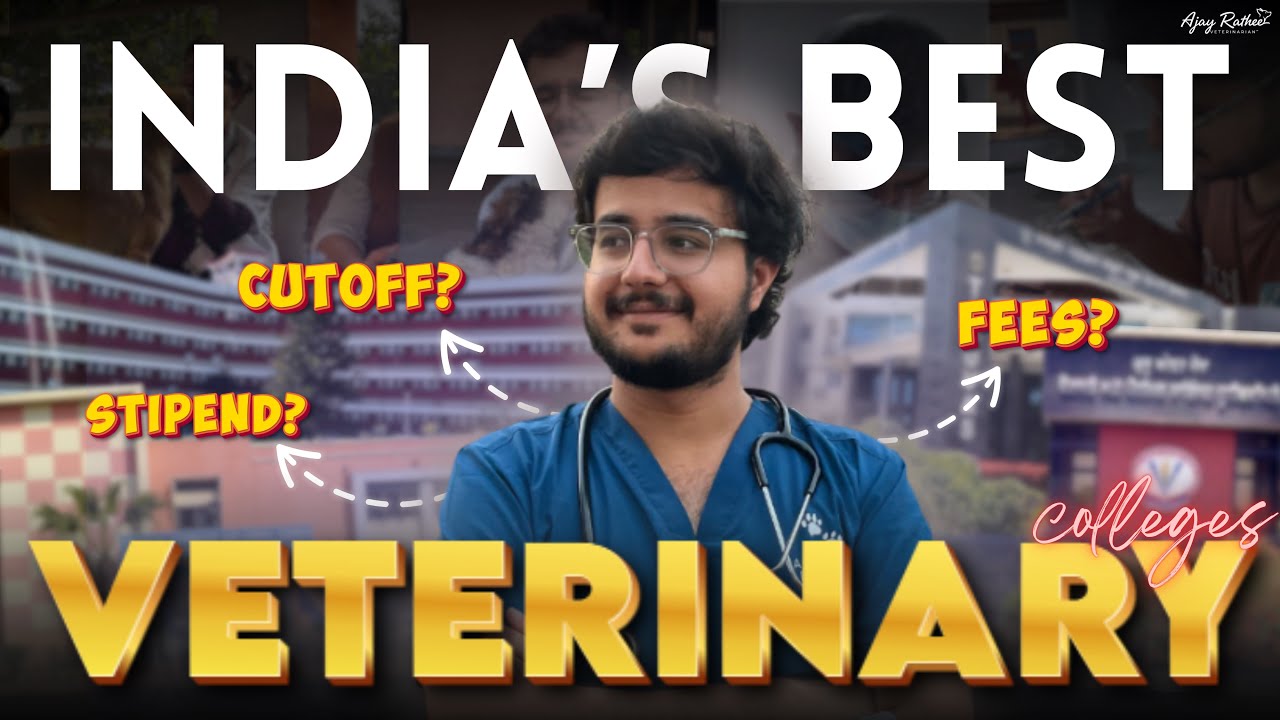 Топ-10 ветеринарных колледжей Индии #ветеринария #neet2026 #ветеринарноколледж #студентветариново...